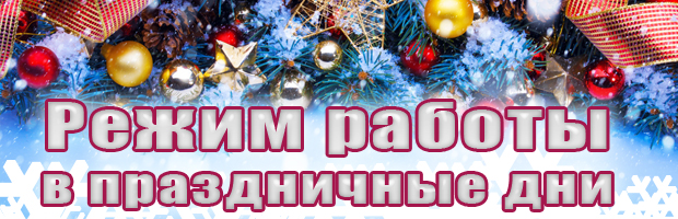 Режим работы в праздничные дни Режим работы в праздничные дни